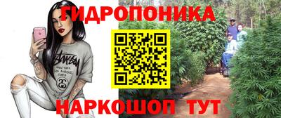герыч Кингисепп