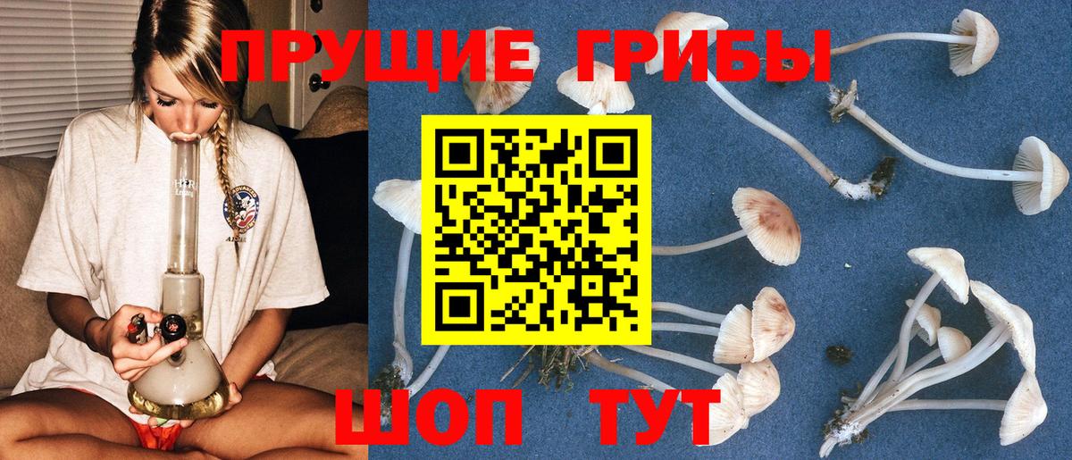 что такое   Вход с VPN  Костомукша  Галлюциногенные грибы ЛСД 