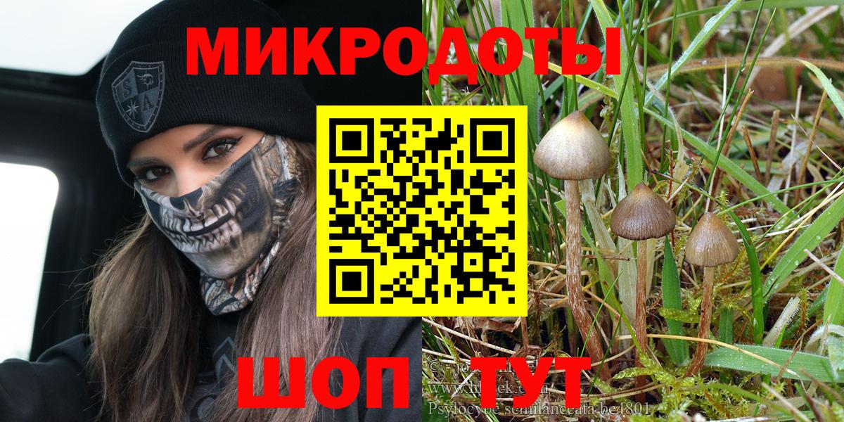 Псилоцибиновые грибы ЛСД Костомукша